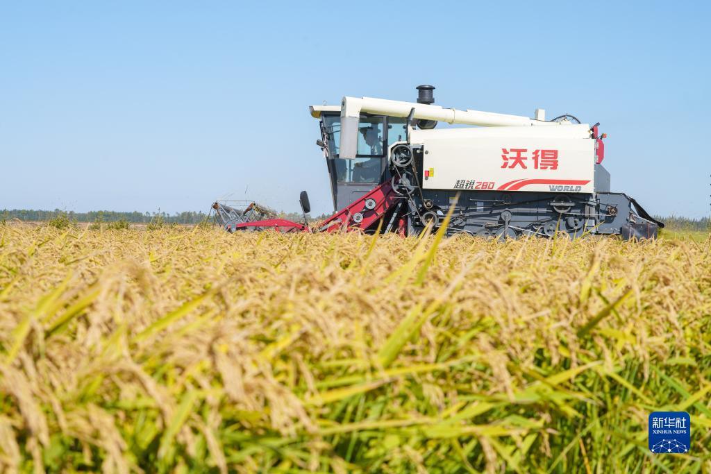 新匍京娱乐场登陆网站